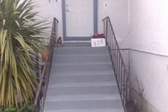 Front Steps + Door