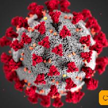 coronavirus