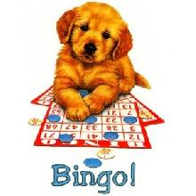 puppyDogBingo