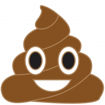 A:/themes/public/images/collages/misc/bodyFluidPoop.jpg